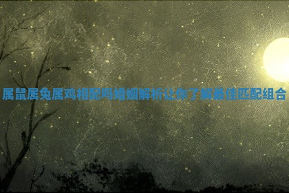 属 🦣 鼠属兔属鸡相配吗婚 🏑 姻解析让你了解最佳匹配组合